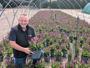 Colin Stanley, Garden Centre Sales Manager at Wyevale Nurseries, with Salvia Rose Marvel. 